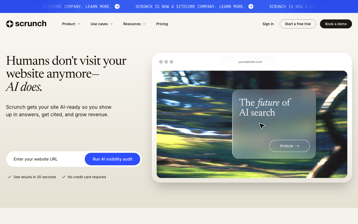 Scrunch AI dashboard screenshot